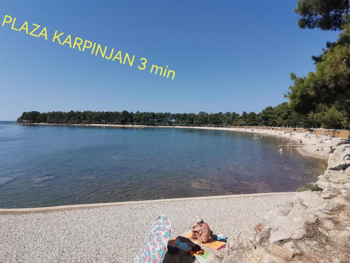 Apartman Hola Novigrad Istria Eksteriør bilde